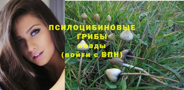 таблы Тавда