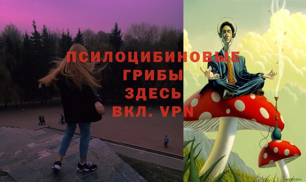дживик Кукмор