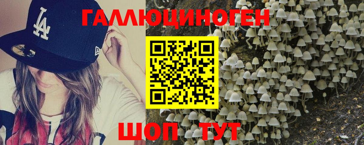 Галлюциногенные грибы Psilocybine cubensis  Вход с VPN  Мончегорск  цена наркотик  Псилоцибиновые грибы прущие грибы 