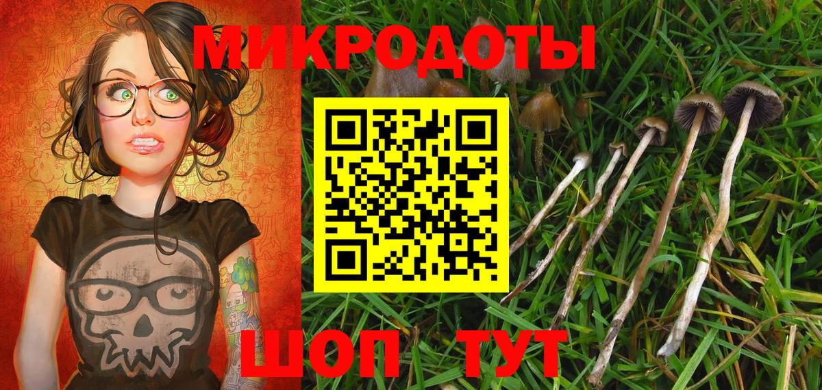 Галлюциногенные грибы мицелий Мончегорск